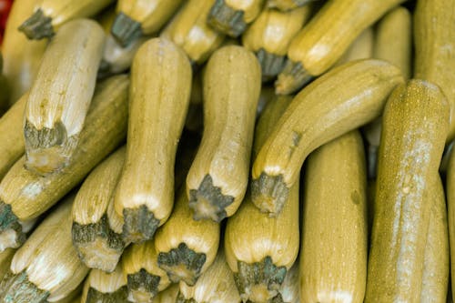 Green Vegetables in Close-up Shot