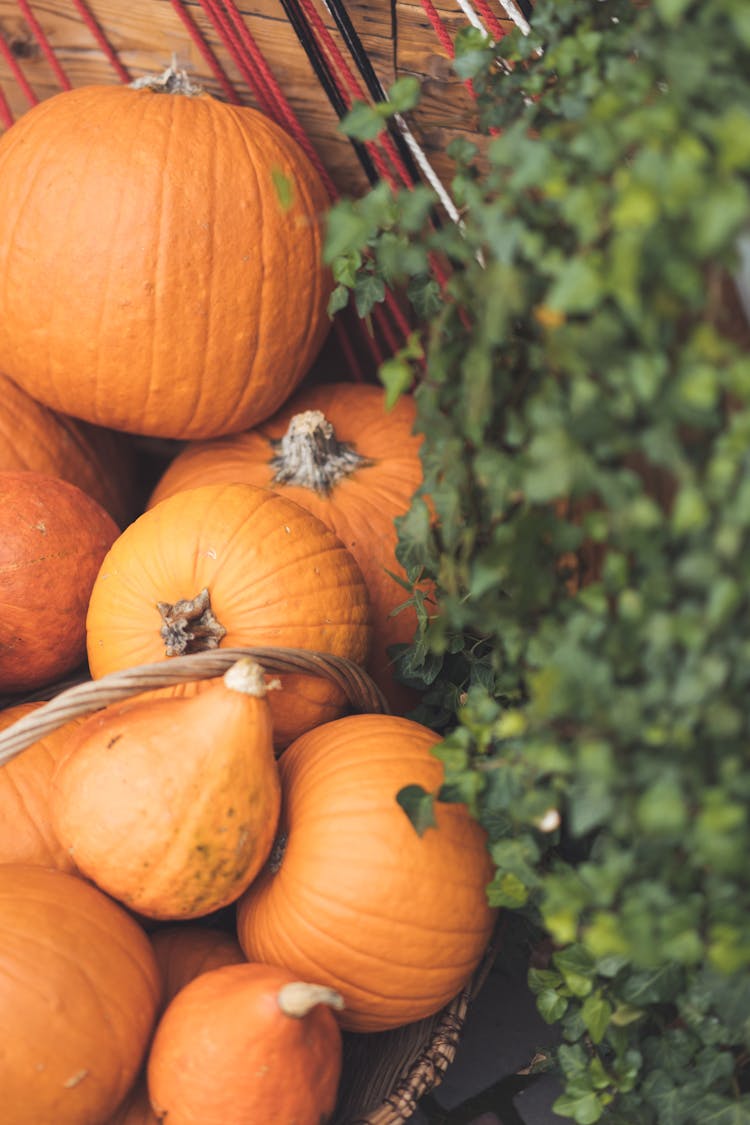 Pile Of Pumpkins