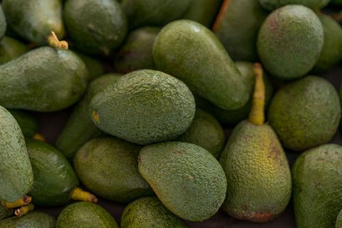 Free A detailed close-up of fresh avocados with textured green skin, perfect for stock photos. Stock Photo