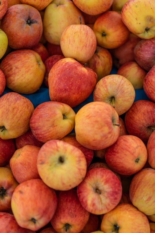 A Close-Up Shot of Fresh Apples