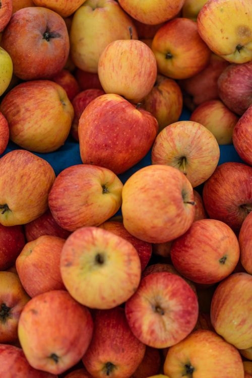 Free Vertical close-up of fresh apples in vivid colors, highlighting natural texture and freshness. Stock Photo