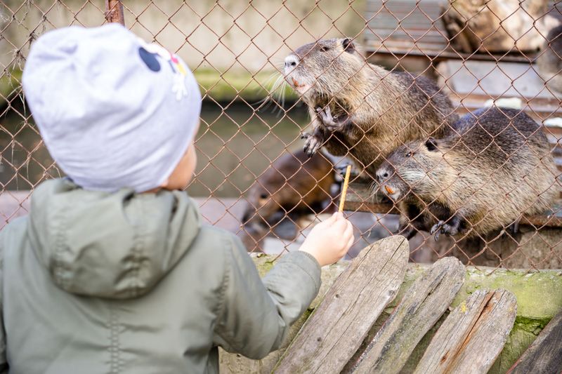 Family exploring minimalist zoo