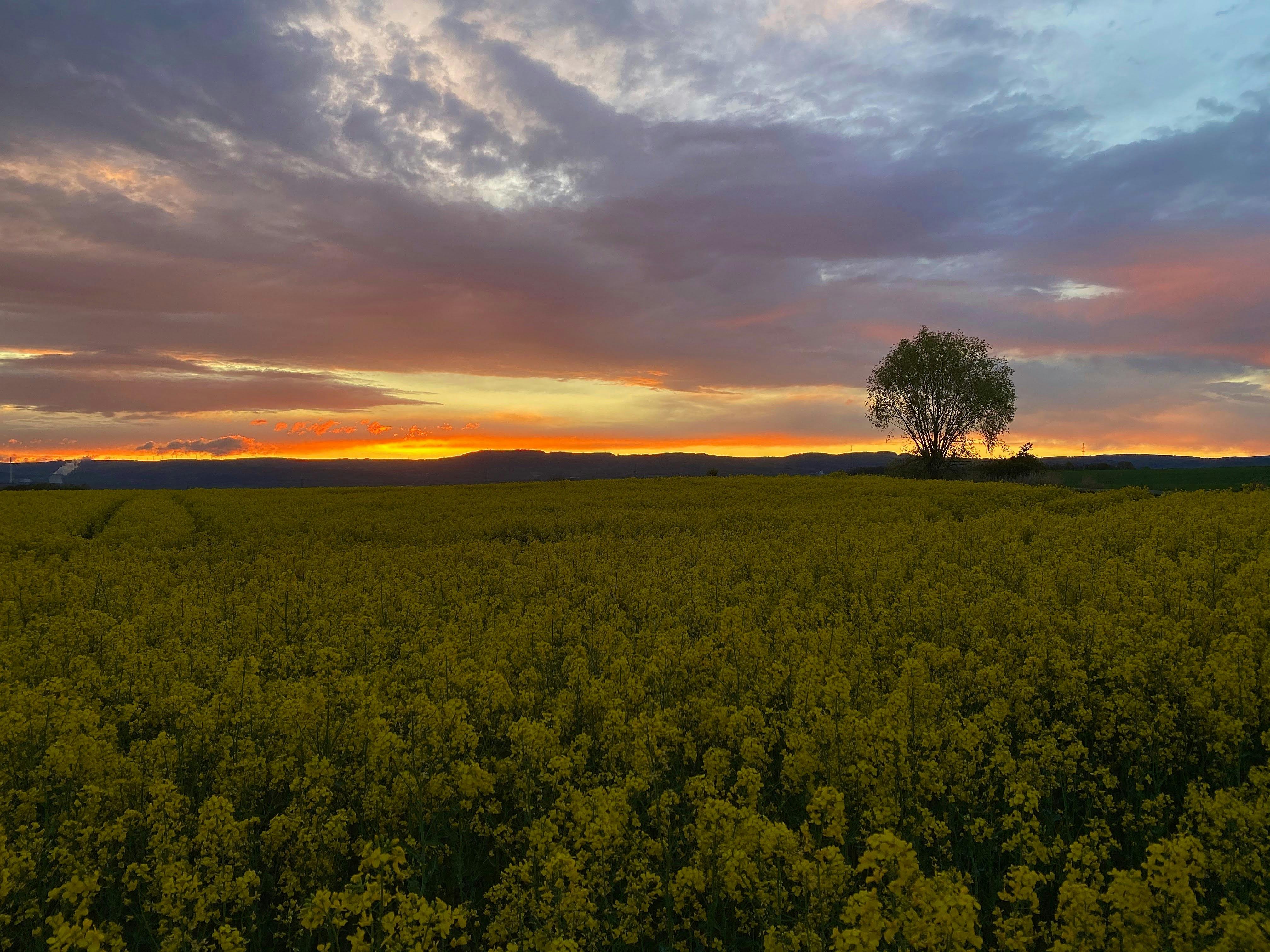 Weather Forecast for Prague