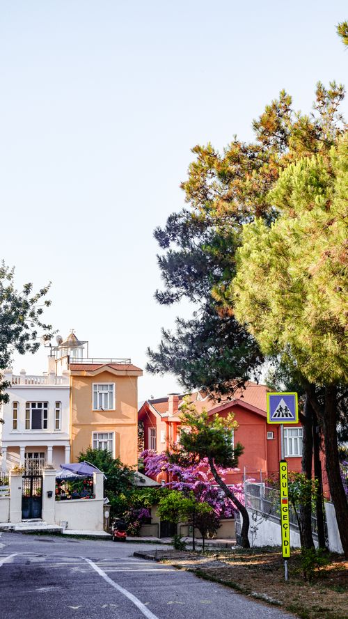 Free Colorful buildings and lush trees line a quiet street in Heybeliada, Istanbul, Turkey. Stock Photo