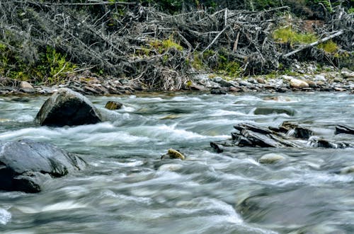 Základová fotografie zdarma na téma řeka