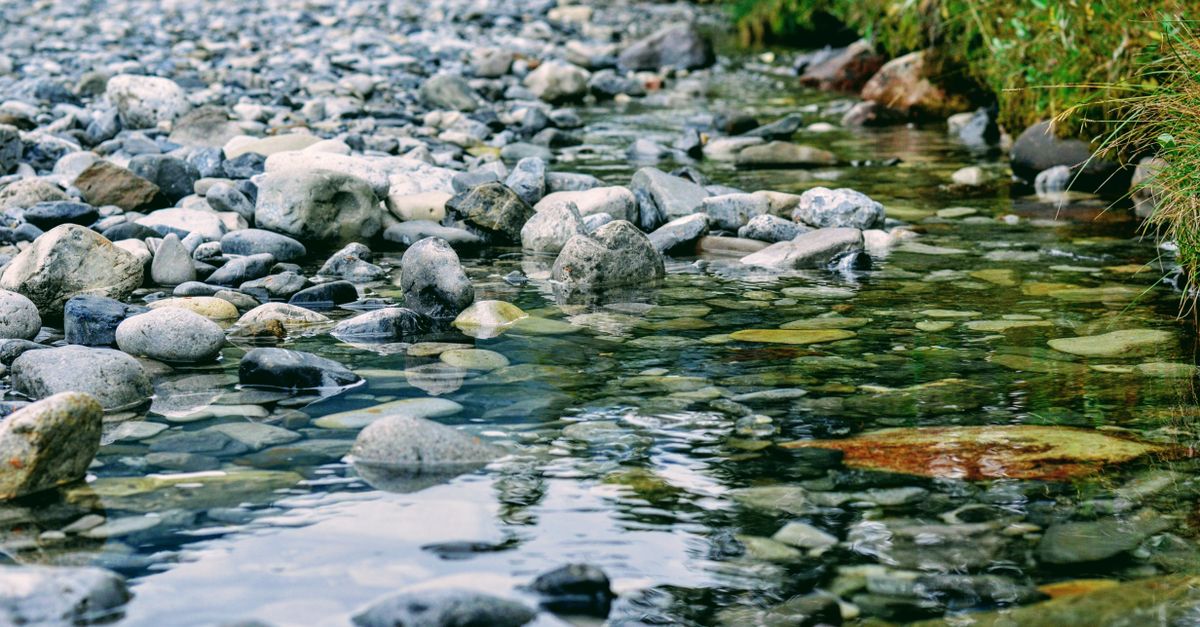 Peaceful rocky creek with clear water reflecting natural surroundings in a tranquil outdoor setting.