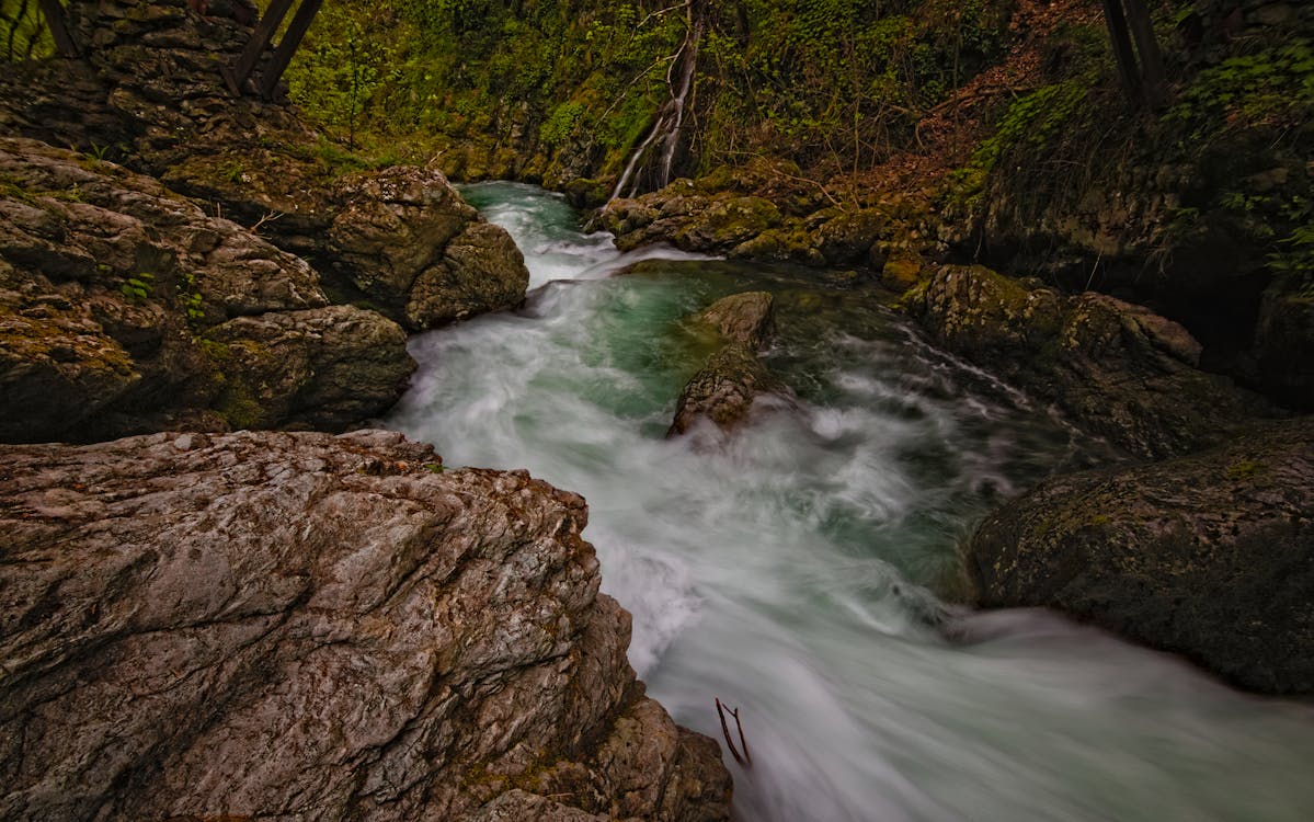 Foto profissional grátis de água, ao ar livre, árvore