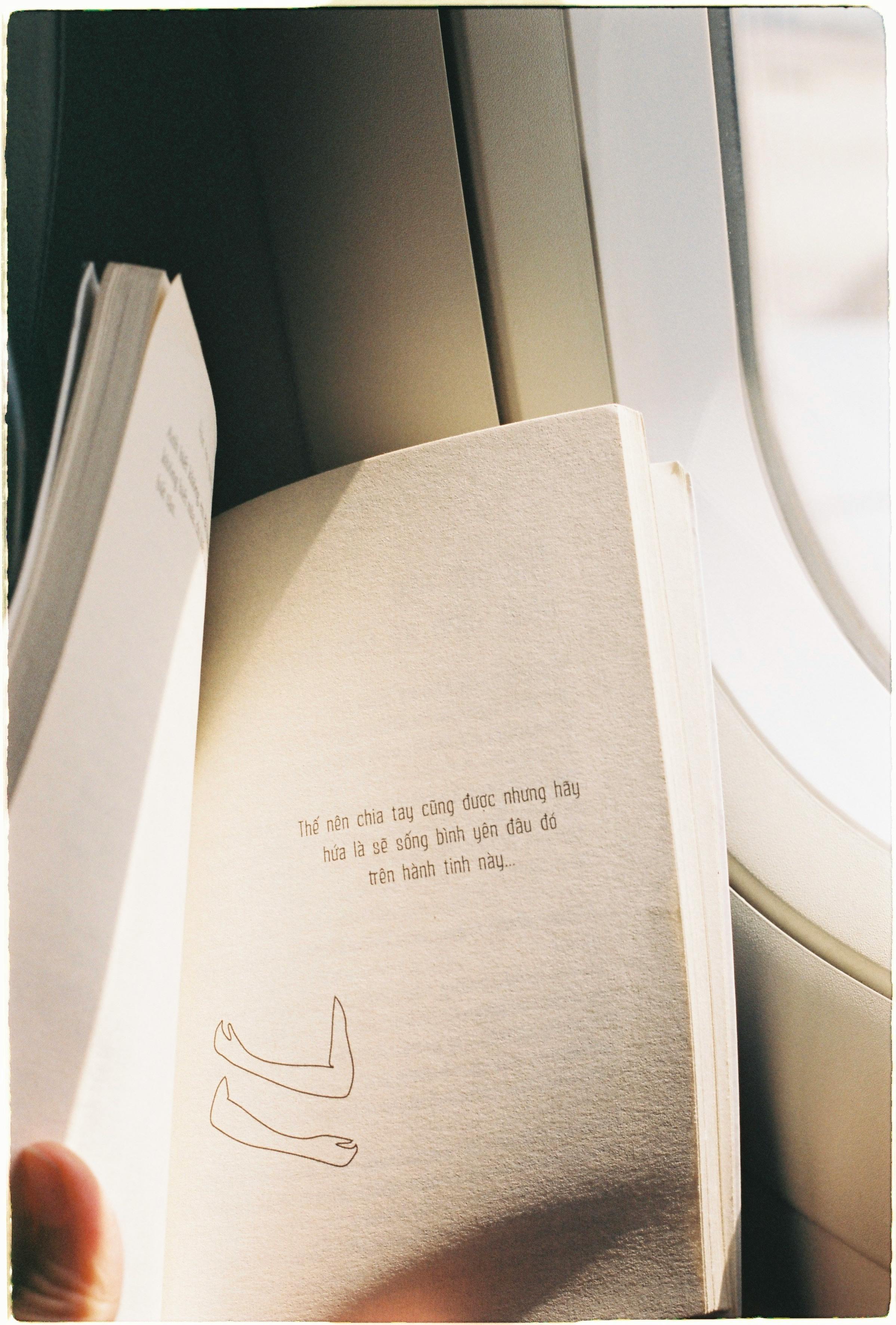 a close up shot of an open book during a flight