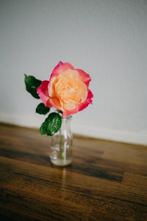 Бесплатное стоковое фото с вертикальный выстрел, роза, стеклянная ваза