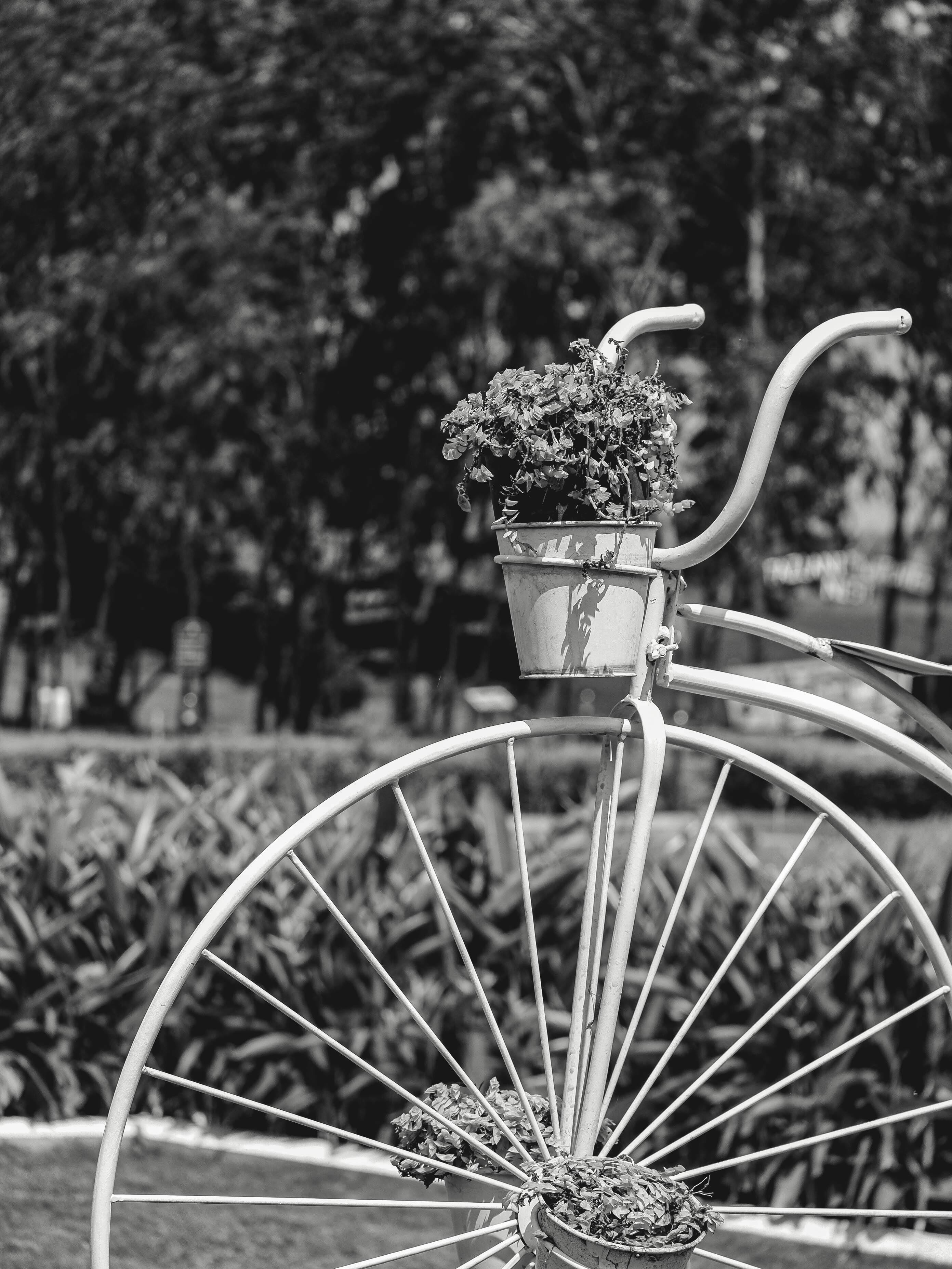 Grayscale Photography of Bicycle · Free Stock Photo