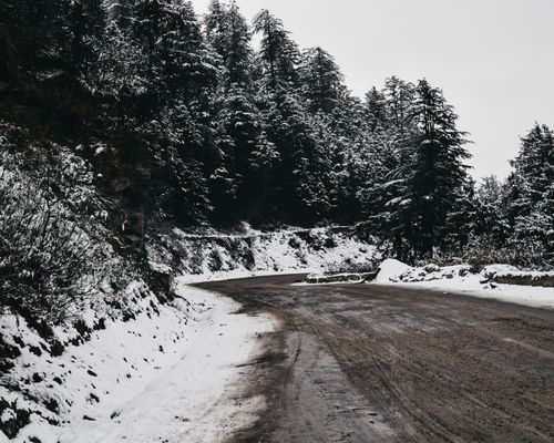 Free Serene snowy road winding through Shimla's frosty mountain landscape. Stock Photo