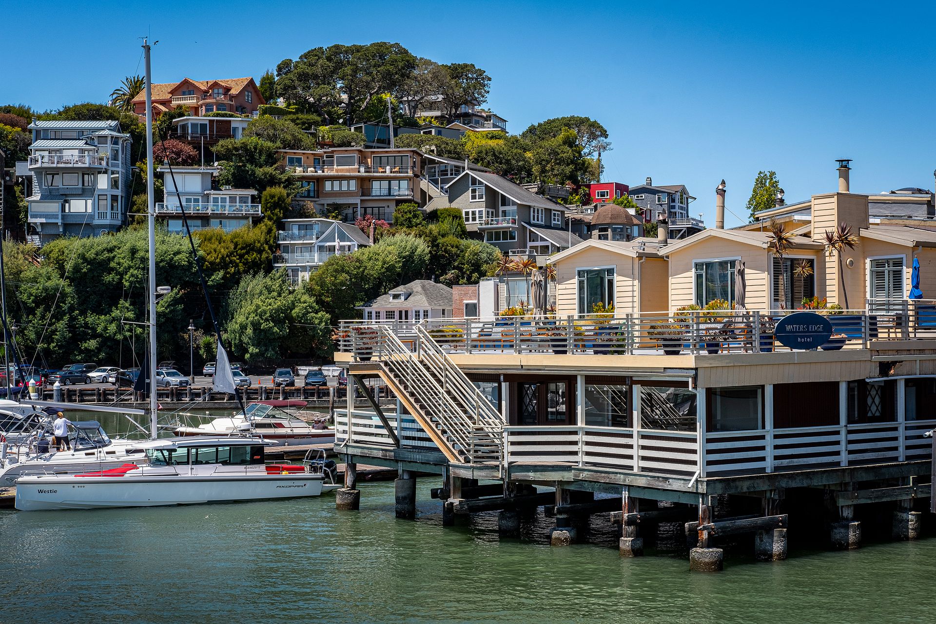 Hillside homes and a marina full of boats on a sunny Bay Area waterfront