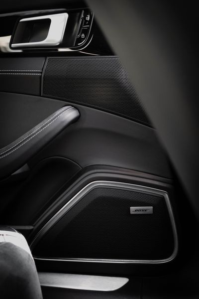 Door panel speaker close-up
