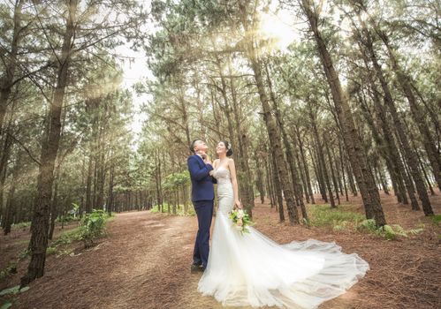 在阳光明媚的森林里，新娘和新郎庆祝他们的婚礼，爱意与浪漫弥漫其间
