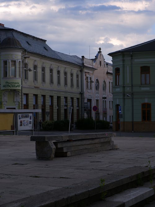 Gray Image of a City Square at Dawn
