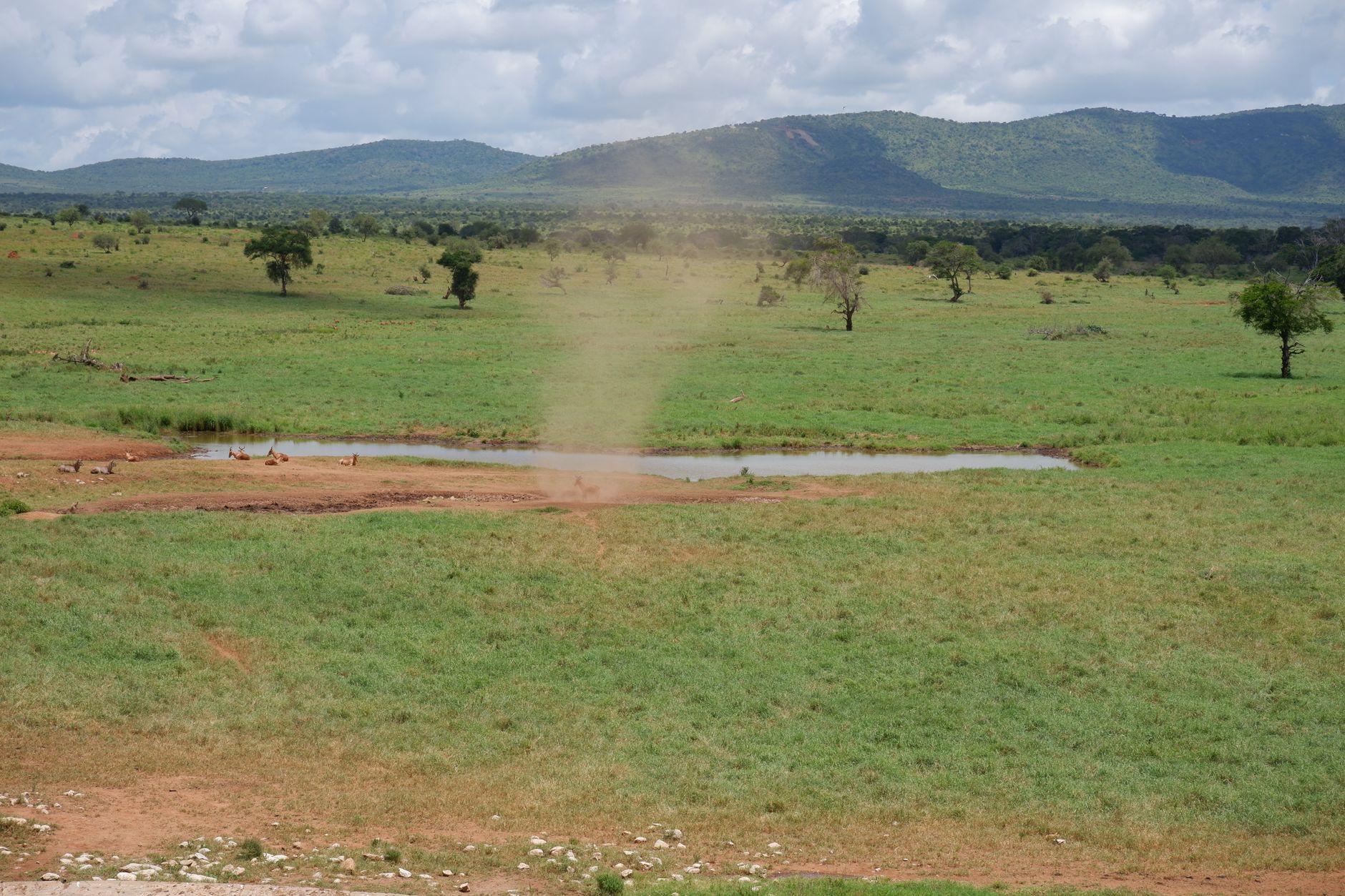 A picturesque scene of a dust devil swirling on the Kenyan savanna with distant mountains.