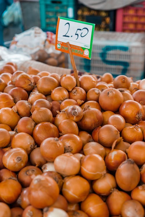 Onions with a Price Tag in a Market Stall · Free Stock Photo