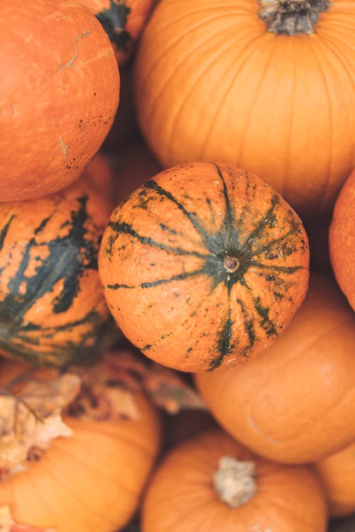 Ilmainen kuvapankkikuva tunnisteilla Halloween, kurpitsat, pystysuuntainen laukaus