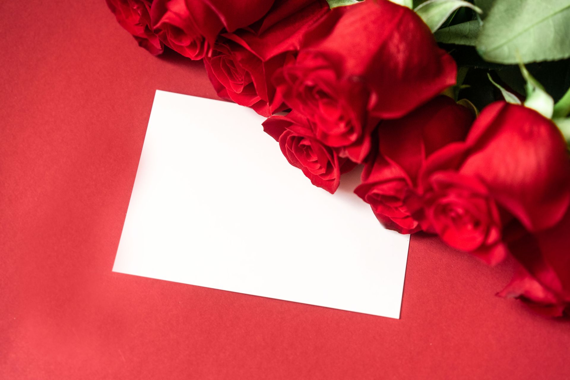 Beautiful arrangement of red roses with a blank card on a red background, perfect for romantic occasions.