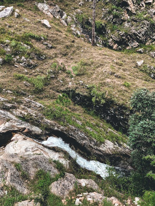 Foto d'estoc gratuïta de a l'aire lliure, aigua, arbre