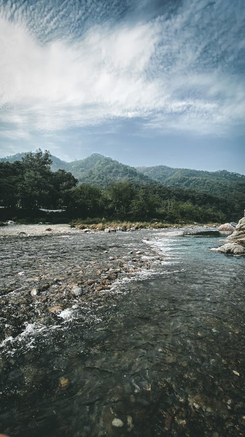 강, 경치, 물의 무료 스톡 사진