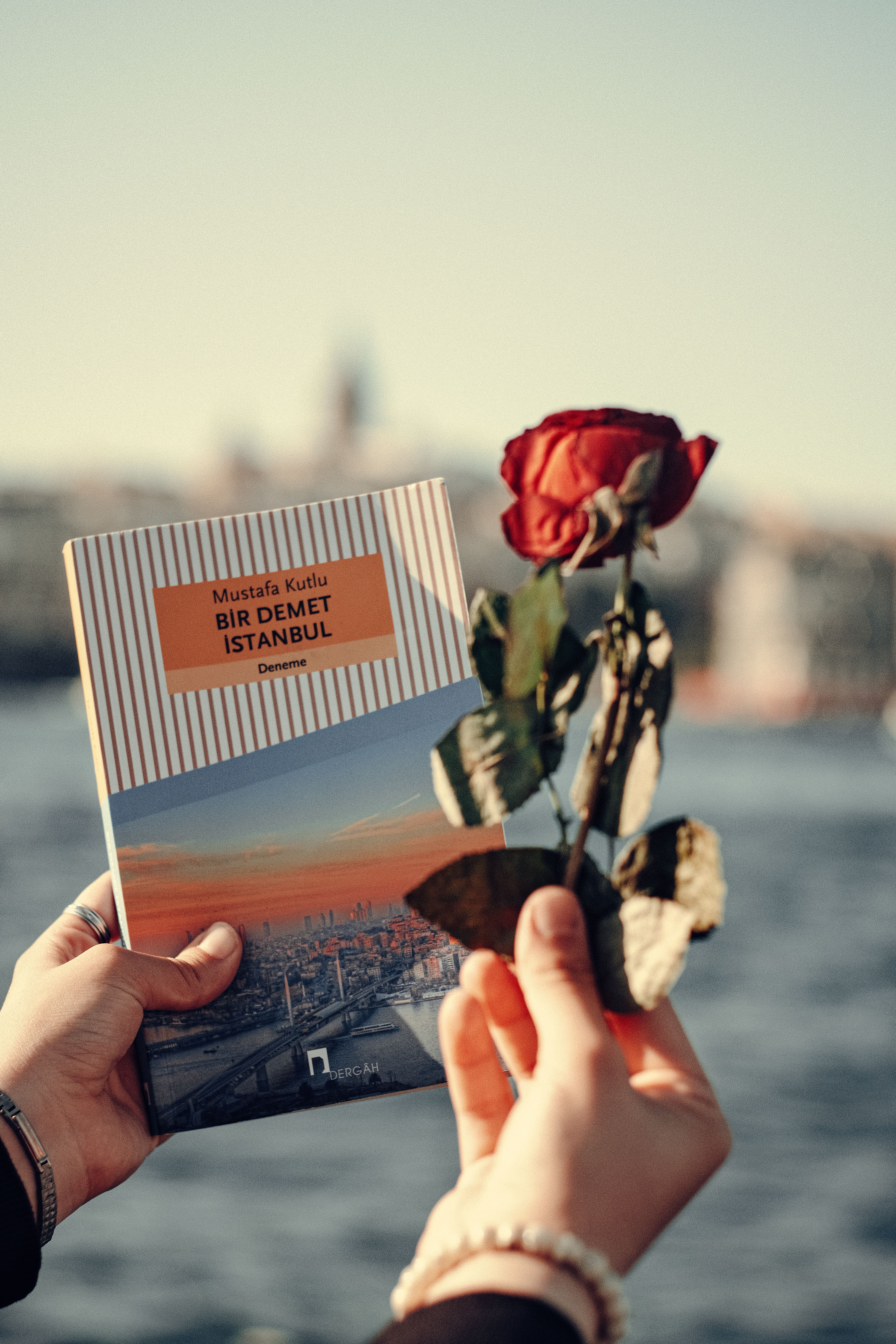 Hands gracefully holding a book and red rose with a serene water backdrop.