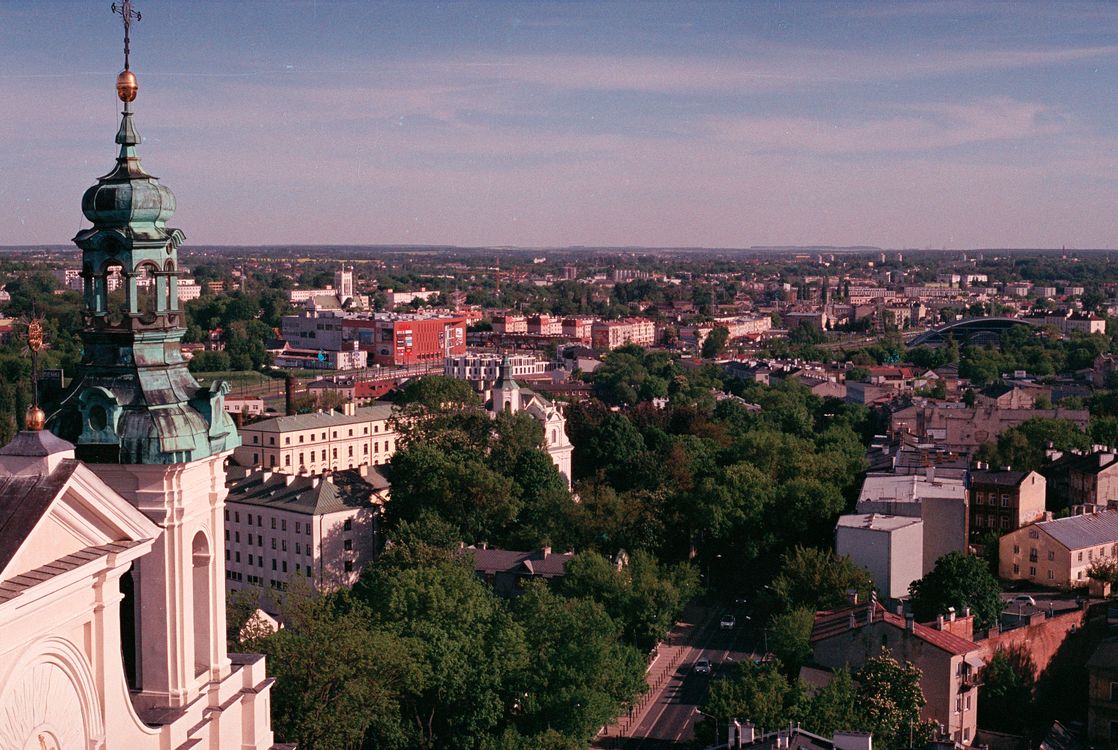 Aerial View of Green Trees Near City Buildings · Free Stock Photo