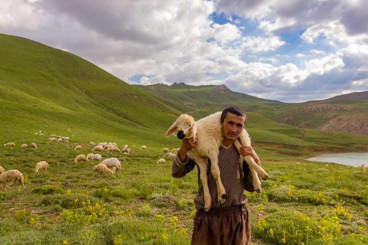 Man Carrying Sheep