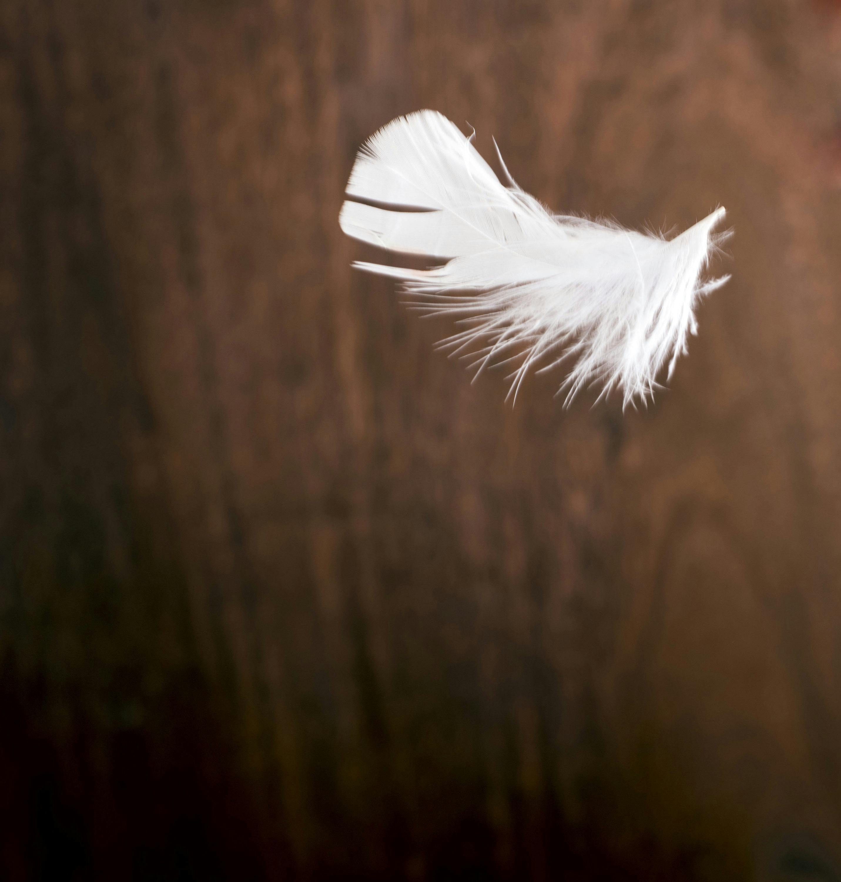 Cinematic monster silhouette over a city at night
