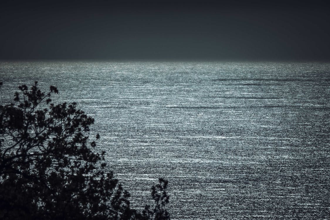 Darmowe zdjęcie z galerii z ciemny, czarno-biały, jezioro