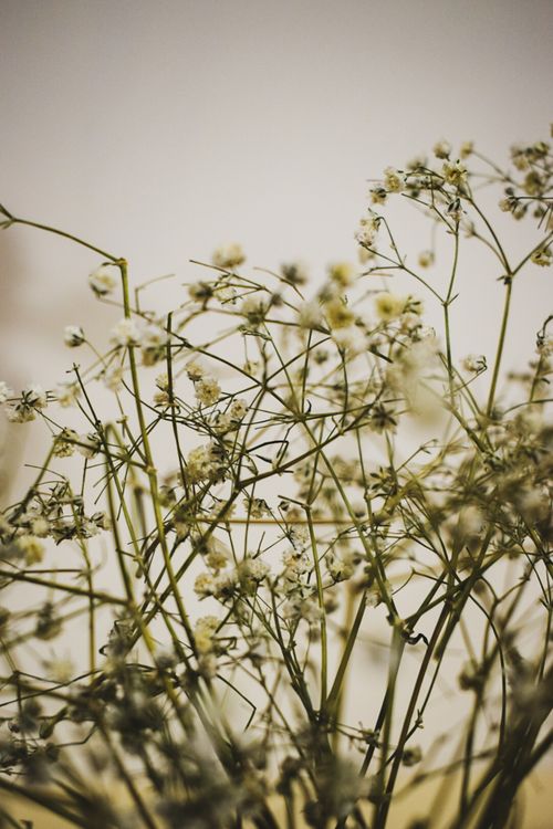 Free stock photo of 4k wallpaper, mobile wallpaper 4k Stock Photo
