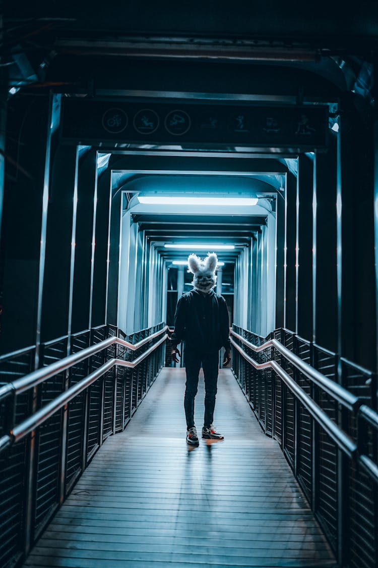 Person In Rabbit Mask On Corridor