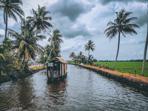 Boat on a Water Cannal between Coconut Trees 