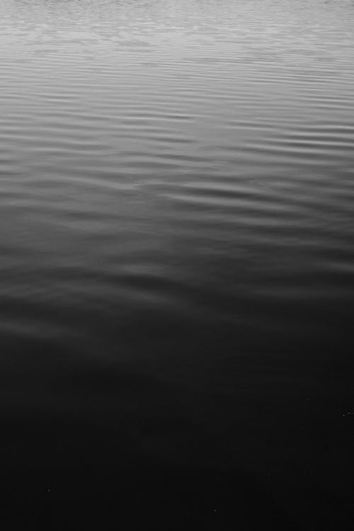 Immagine gratuita di acqua calma, bianco e nero, increspare