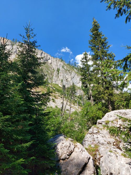 Free Breathtaking view of a rocky mountainside with lush pine trees under a clear blue sky. Stock Photo