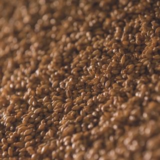 Cooked freekeh — photo by 42 North on Pexels