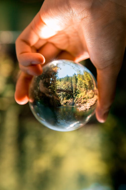 Free Person Holding Clear Glass Ball Stock Photo
