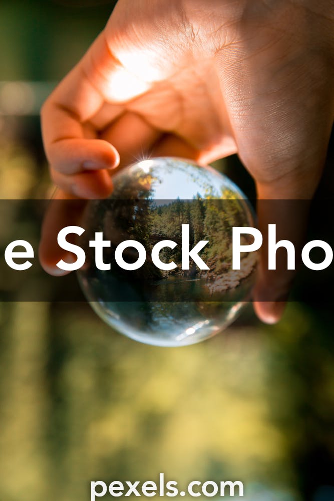 1000 Amazing Environmental Protection Photos · Pexels · Free Stock Photos