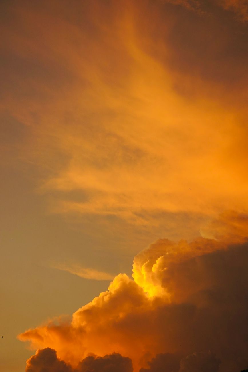 Digital Sunset