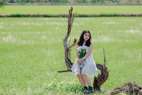 Základová fotografie zdarma na téma asiatka, asijská holka, denní