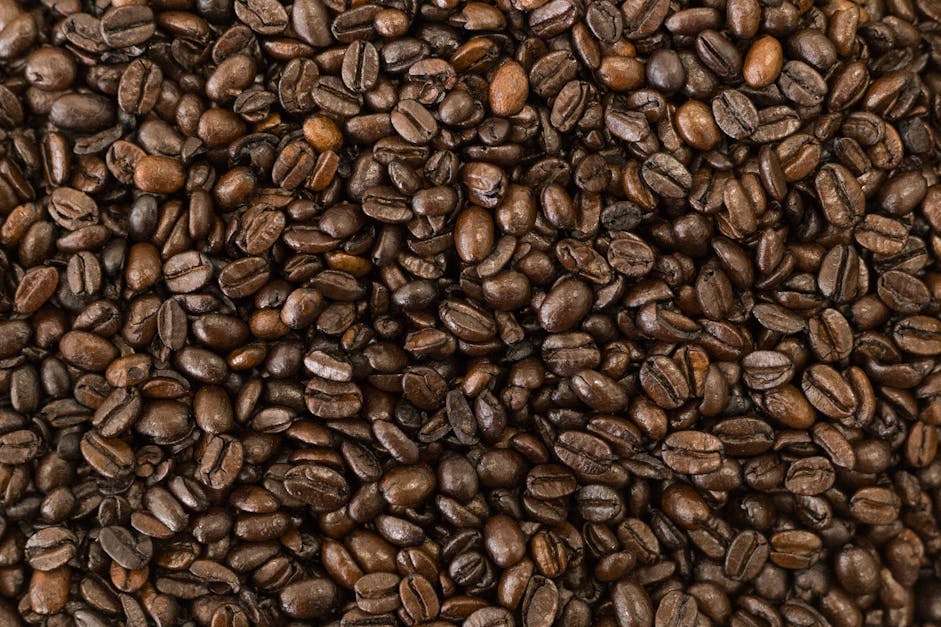 Free stock photo of coffee, coffee bean
