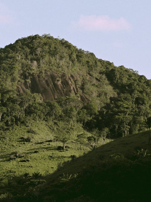 경치, 녹색의 산, 수직 쐈어의 무료 스톡 사진