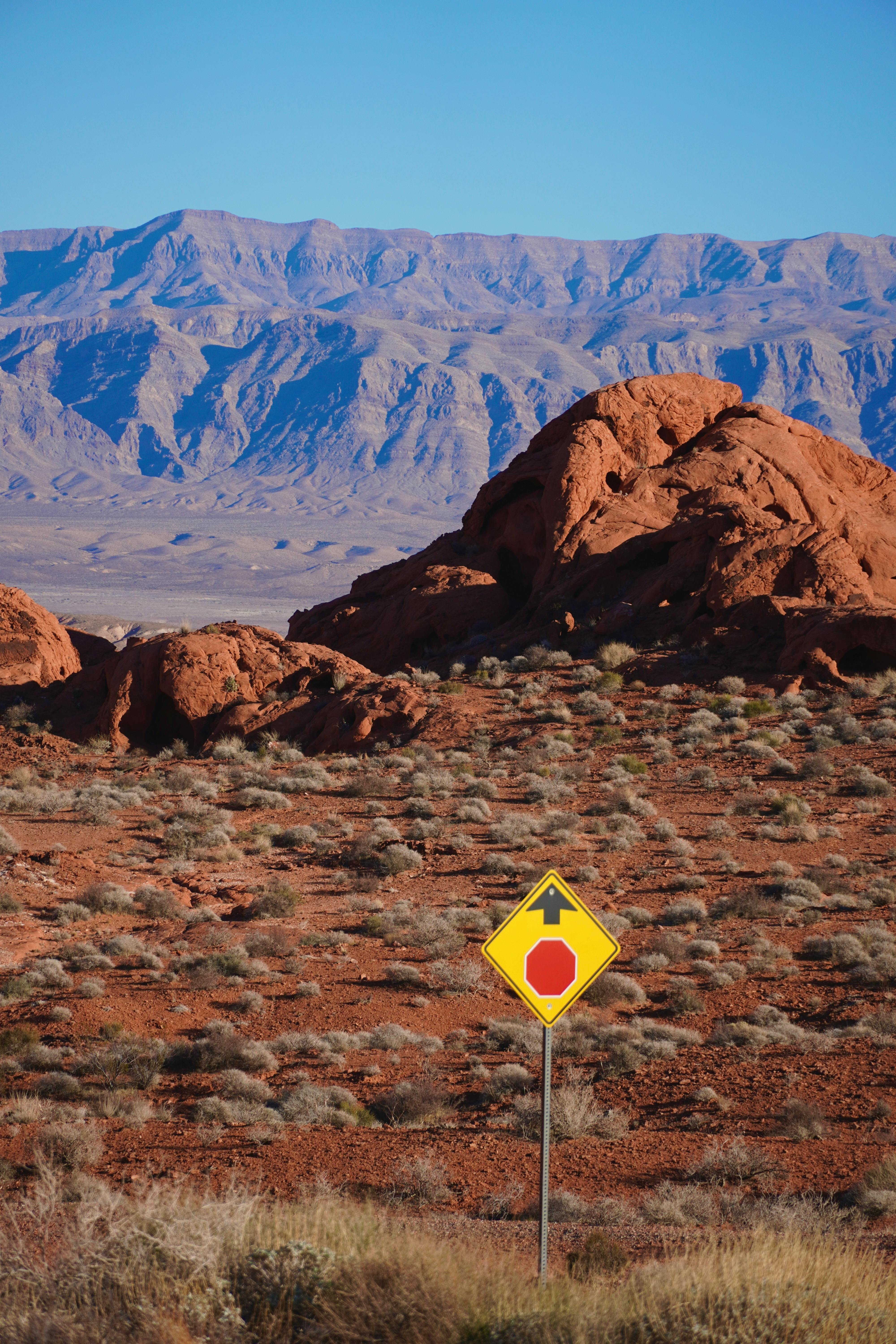 Vibrant desert scene with red rocks and mountain backdrop in Nevada.