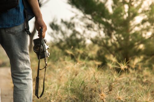 Free A person carrying an analog camera while walking through lush outdoor scenery. Stock Photo
