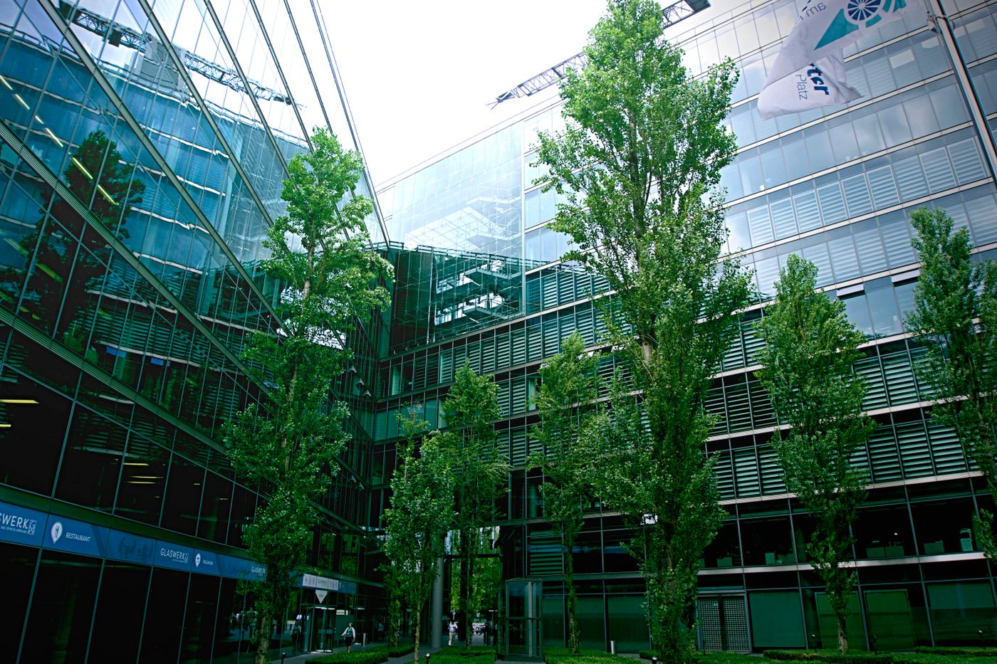 Modern glass corporate office building exterior with trees