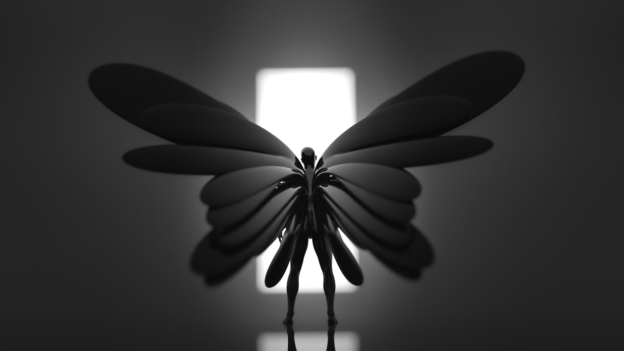 Grayscale Photo of Flower With Light