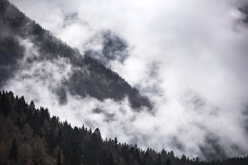 Free Fog envelops a forested mountain in Madonna di Campiglio, Italy. Stock Photo