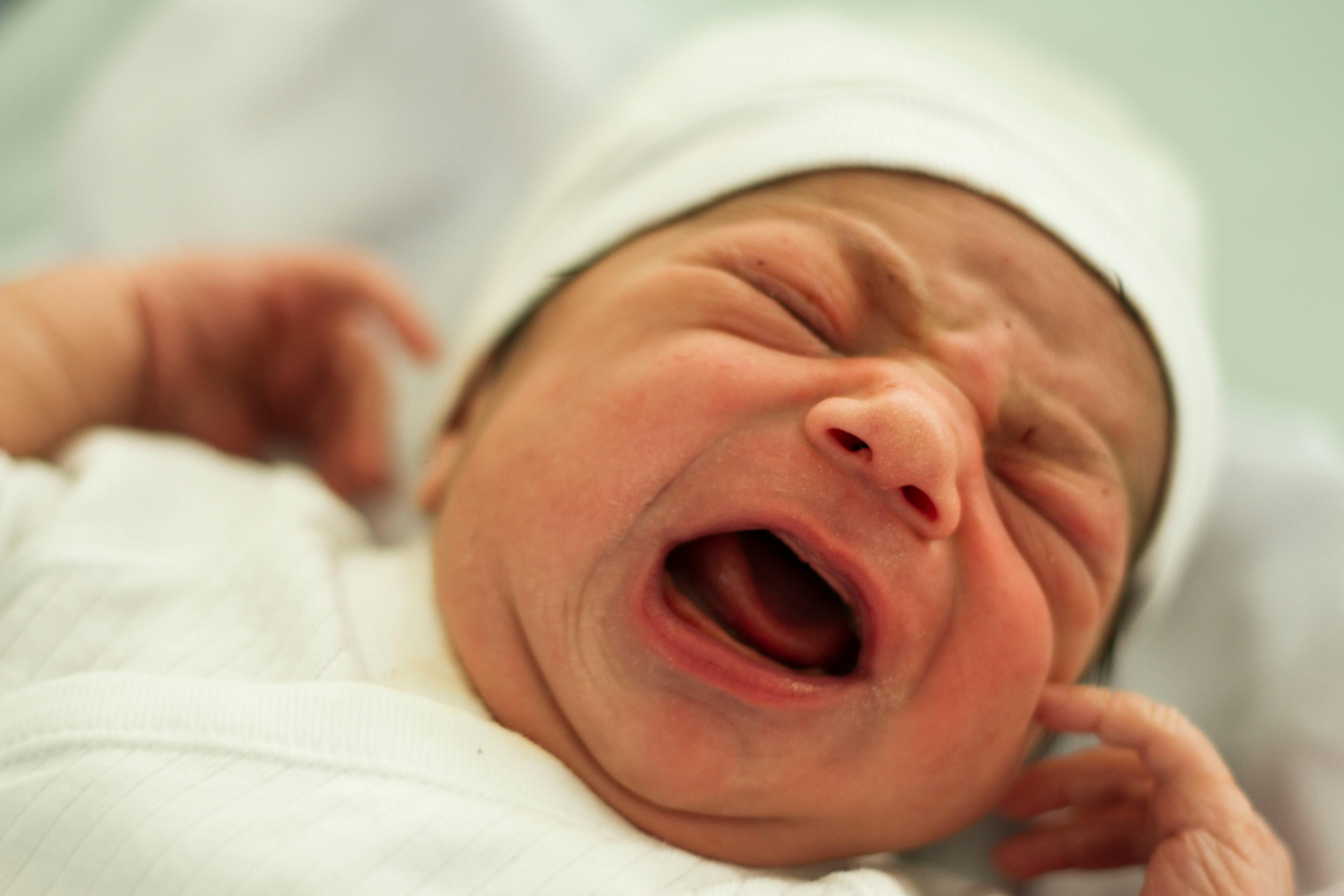 Free stock photo of baby born, cry, life