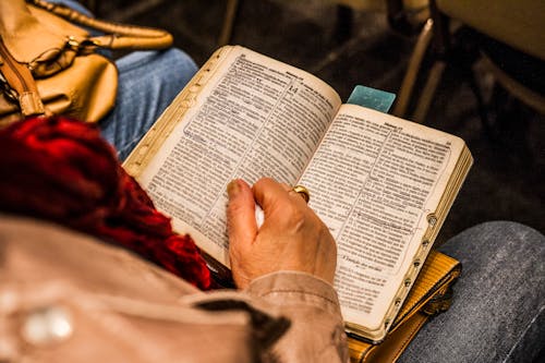 Person Holding Opened Book