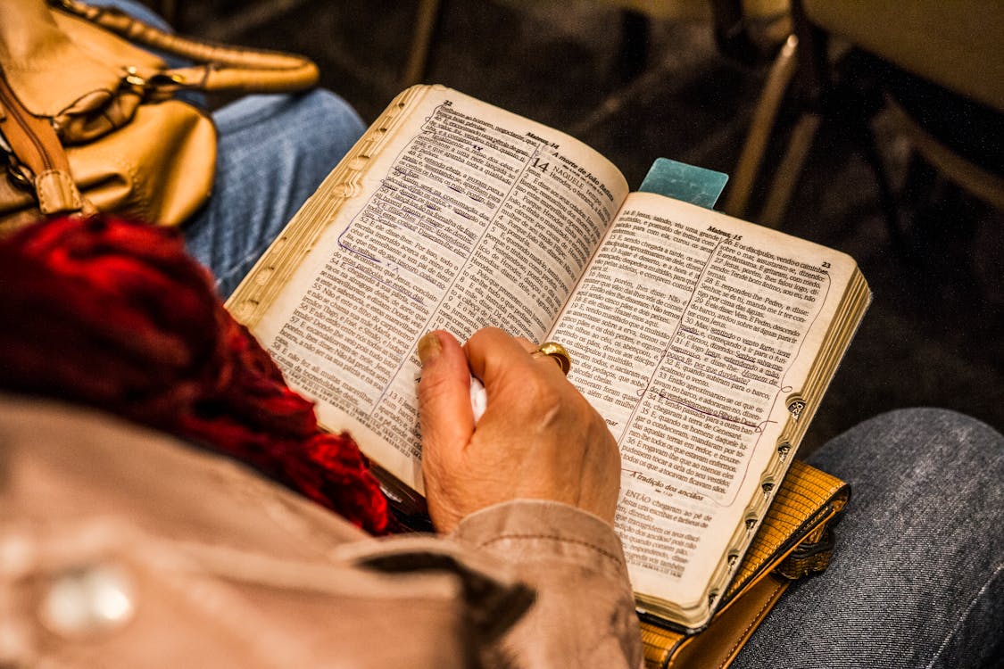 Free Person Holding Opened Book Stock Photo